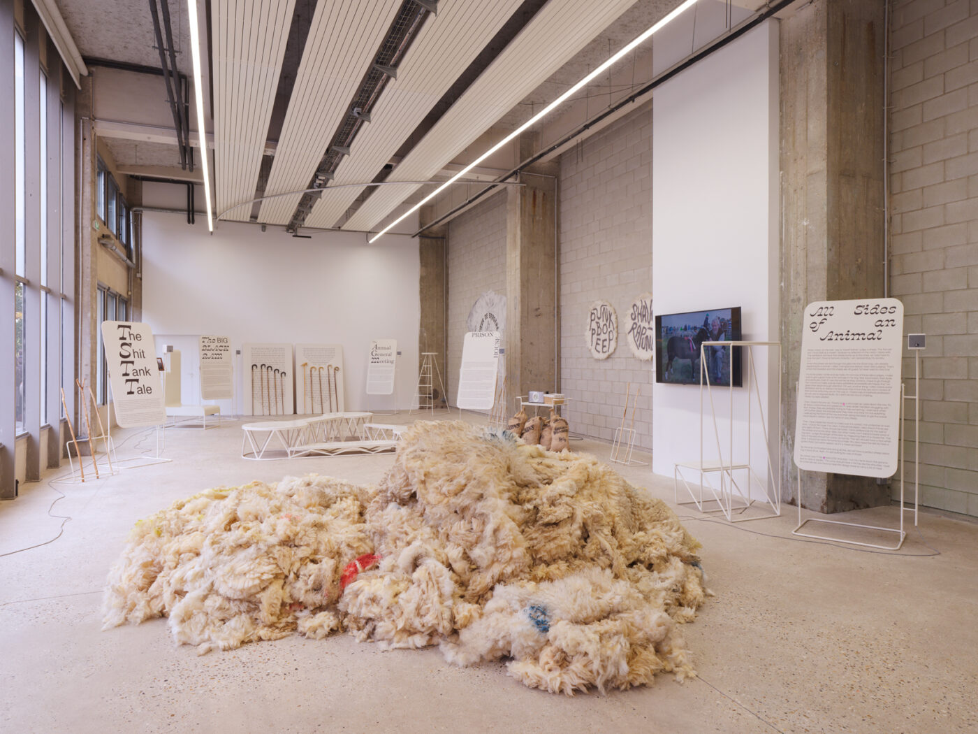 A Shepherd’s Heart - Bétonsalon