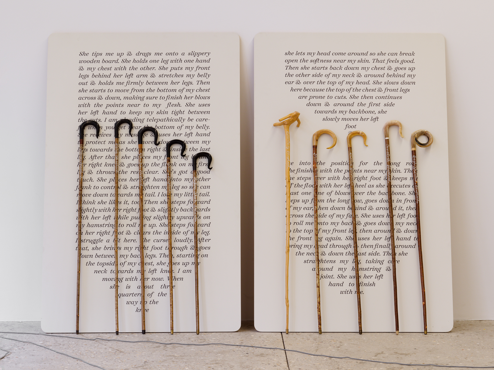 Cœur de bergère - Bétonsalon