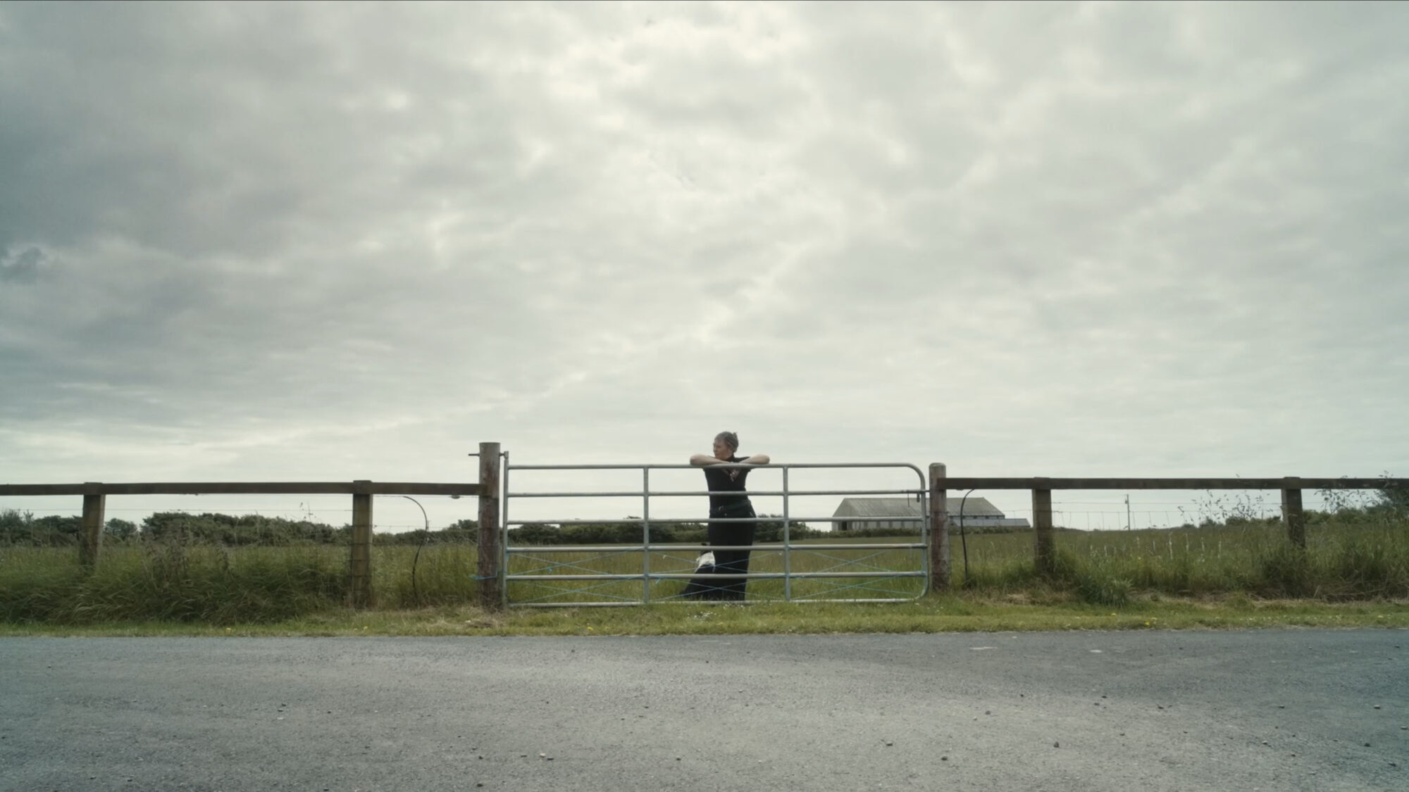 Notes from Sheepland - Bétonsalon