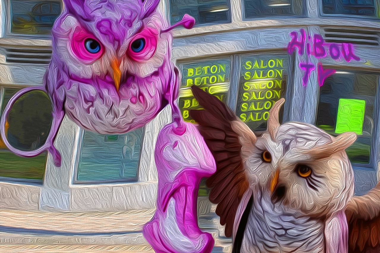 Hibou TV Show - Bétonsalon