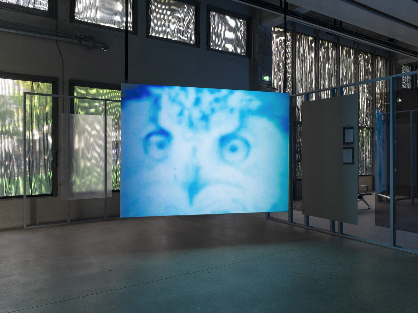 Surexposée, comme aux rayons X - Bétonsalon