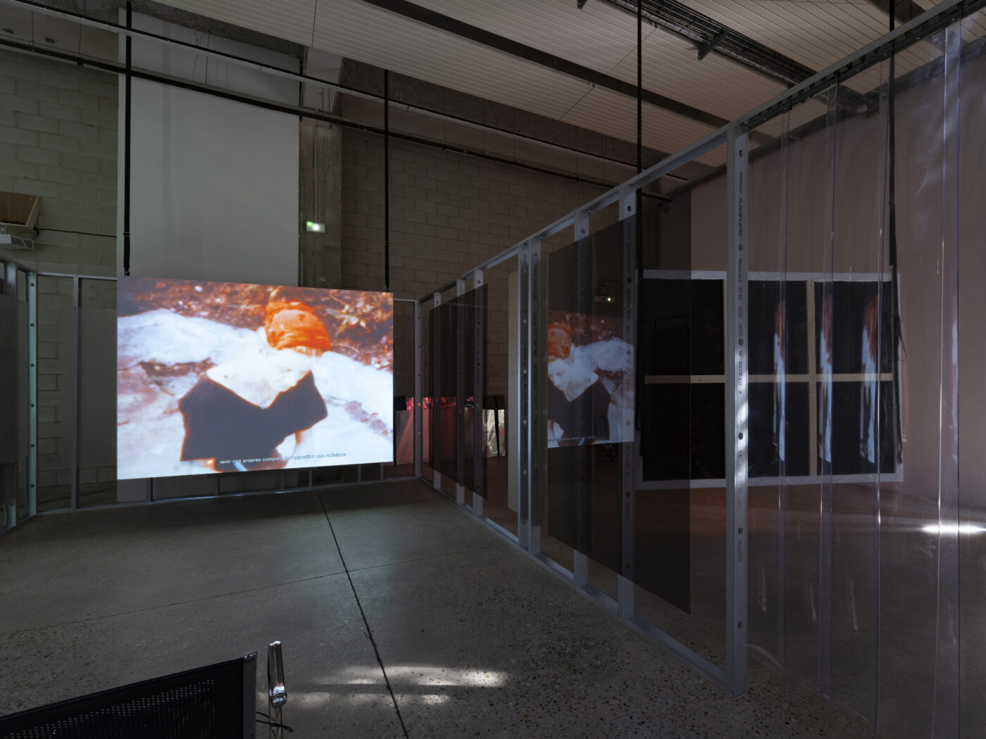 Surexposée, comme aux rayons X - Bétonsalon