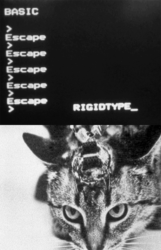 Surexposée, comme aux rayons X - Bétonsalon