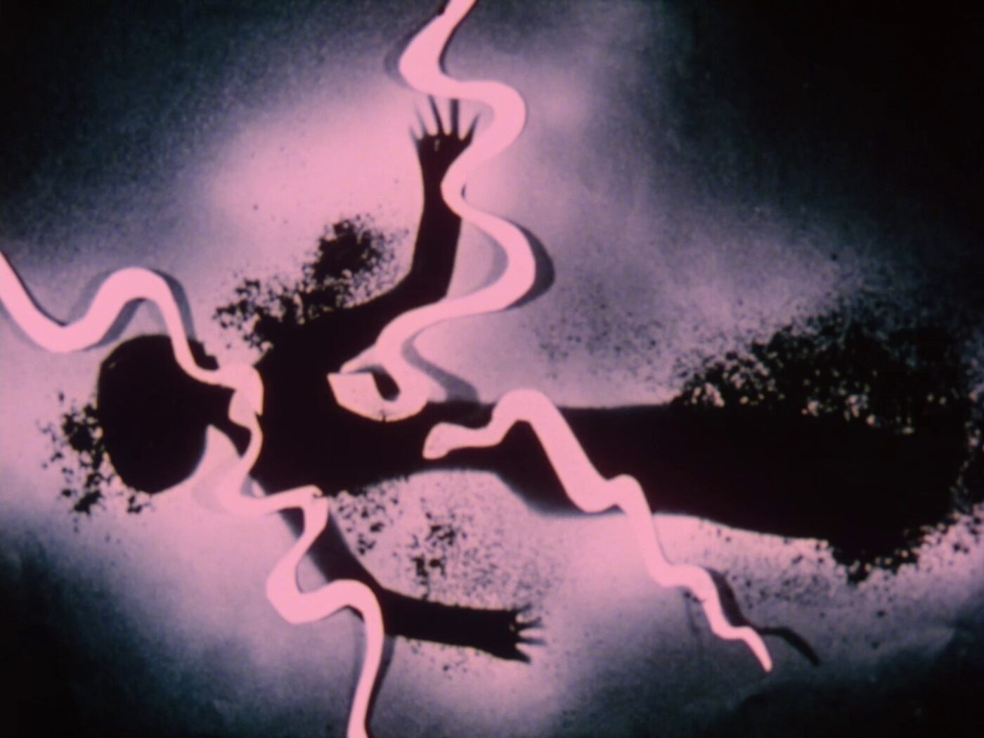 Surexposée, comme aux rayons X - Bétonsalon