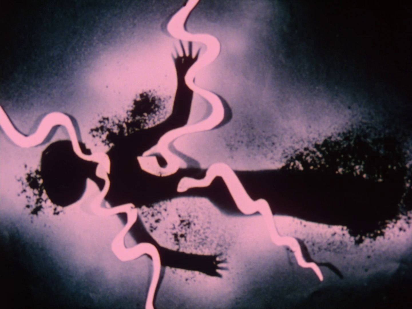 Surexposée, comme aux rayons X - Bétonsalon