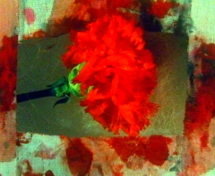 Surexposée, comme aux rayons X - Bétonsalon