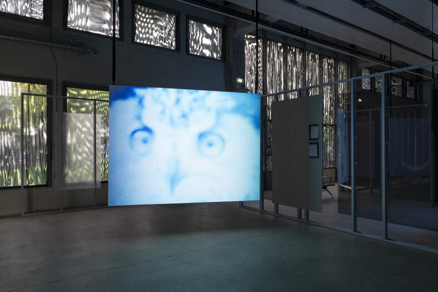Surexposée, comme aux rayons X - Bétonsalon