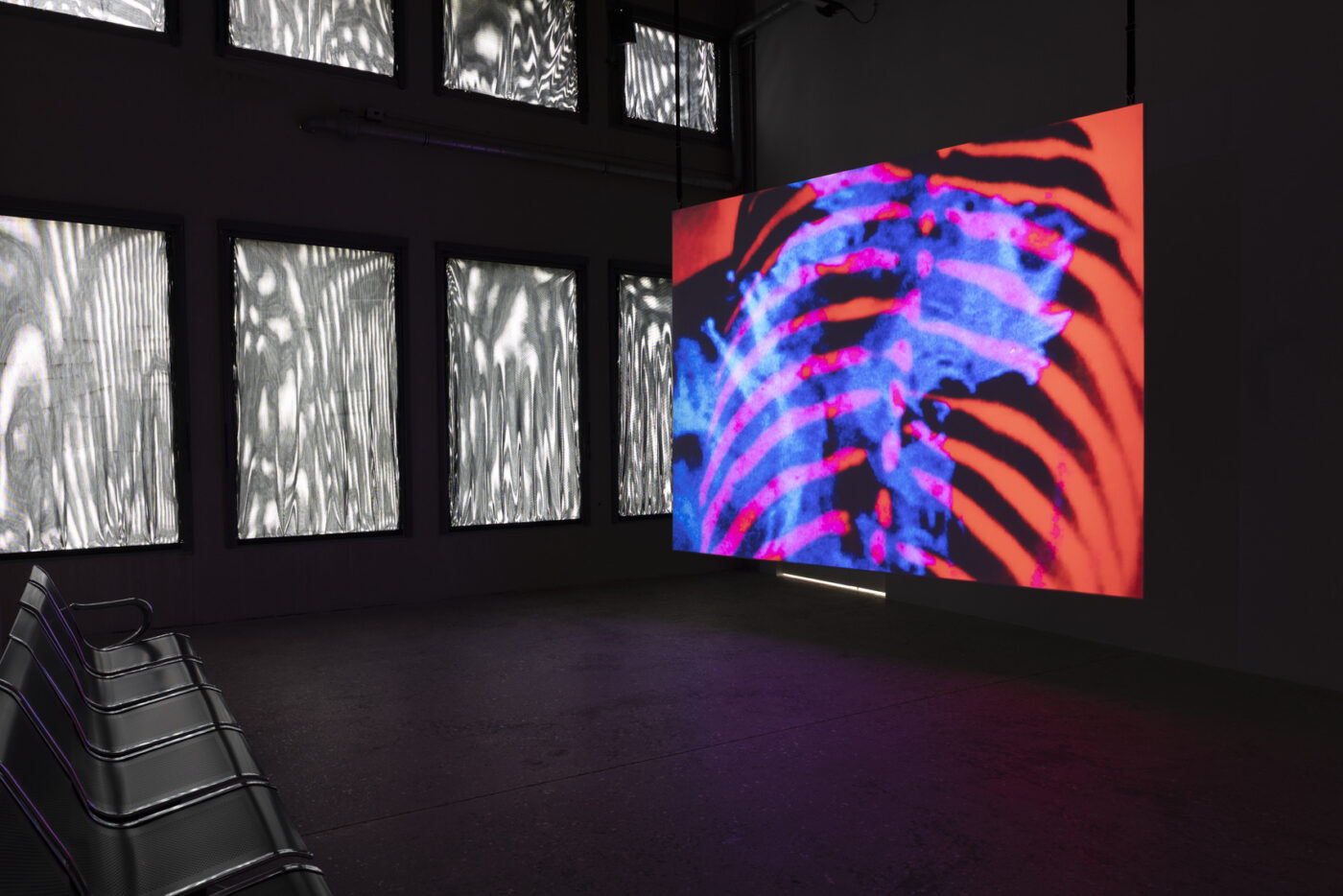 Surexposée, comme aux rayons X - Bétonsalon