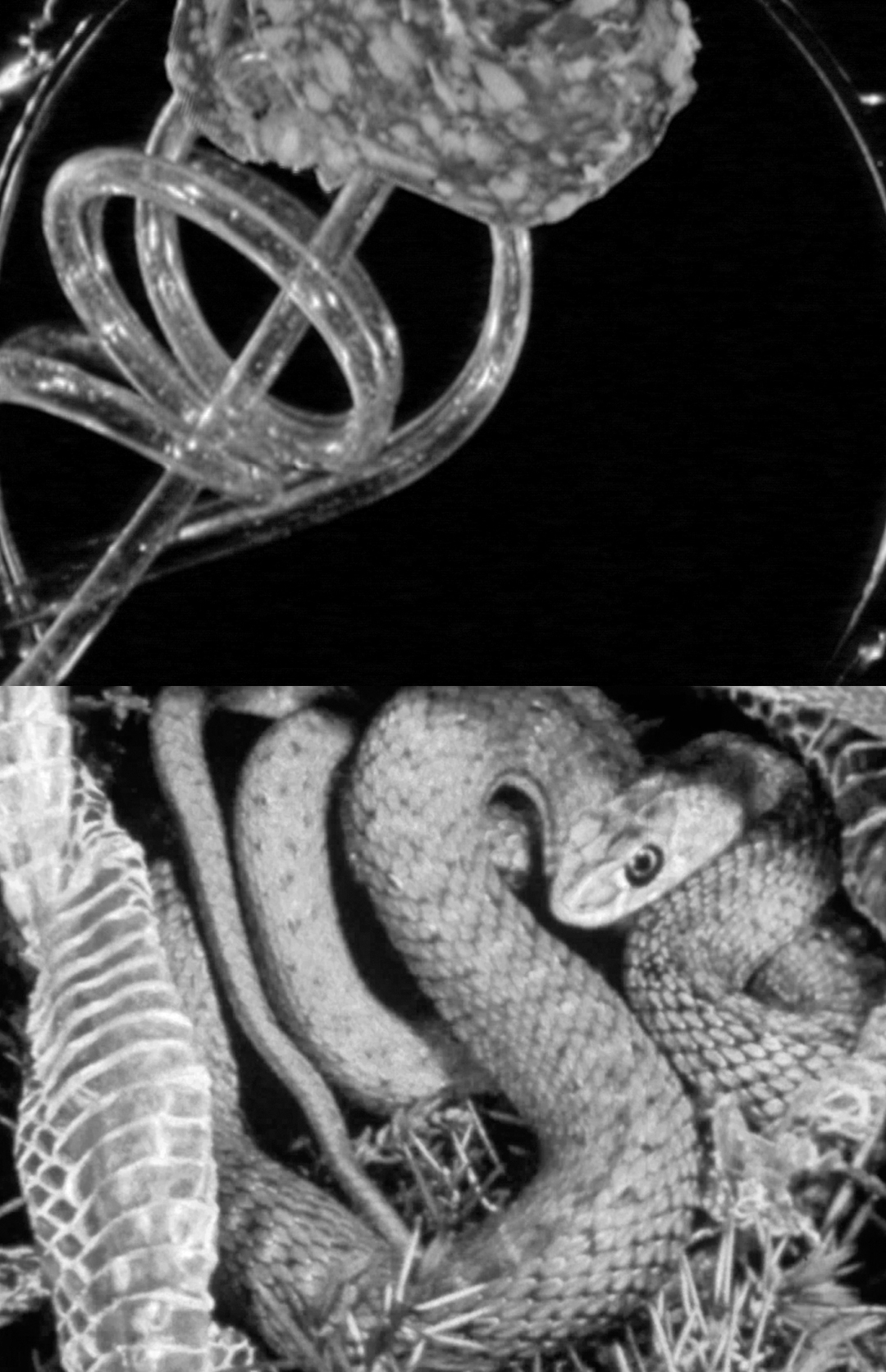 Page d&rsquo;accueil - Bétonsalon