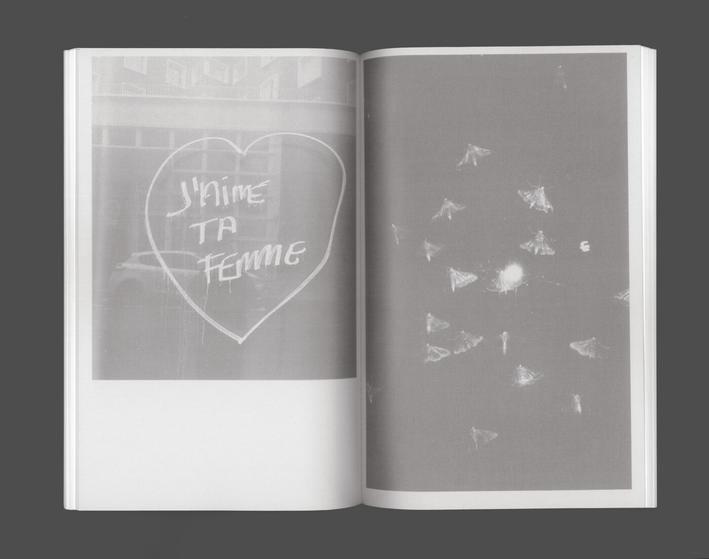 la kate - Bétonsalon