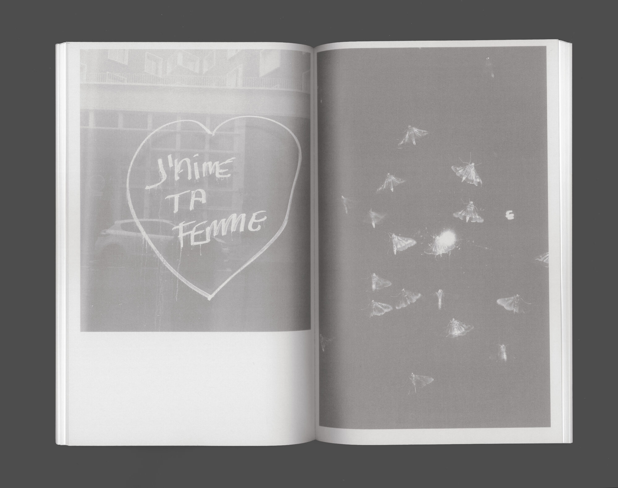 la kate - Bétonsalon