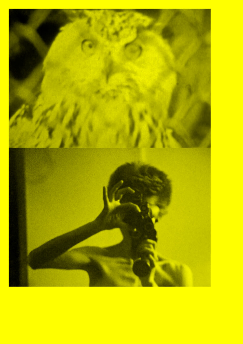 BS n°43 – Surexposée, comme aux rayons X - Bétonsalon